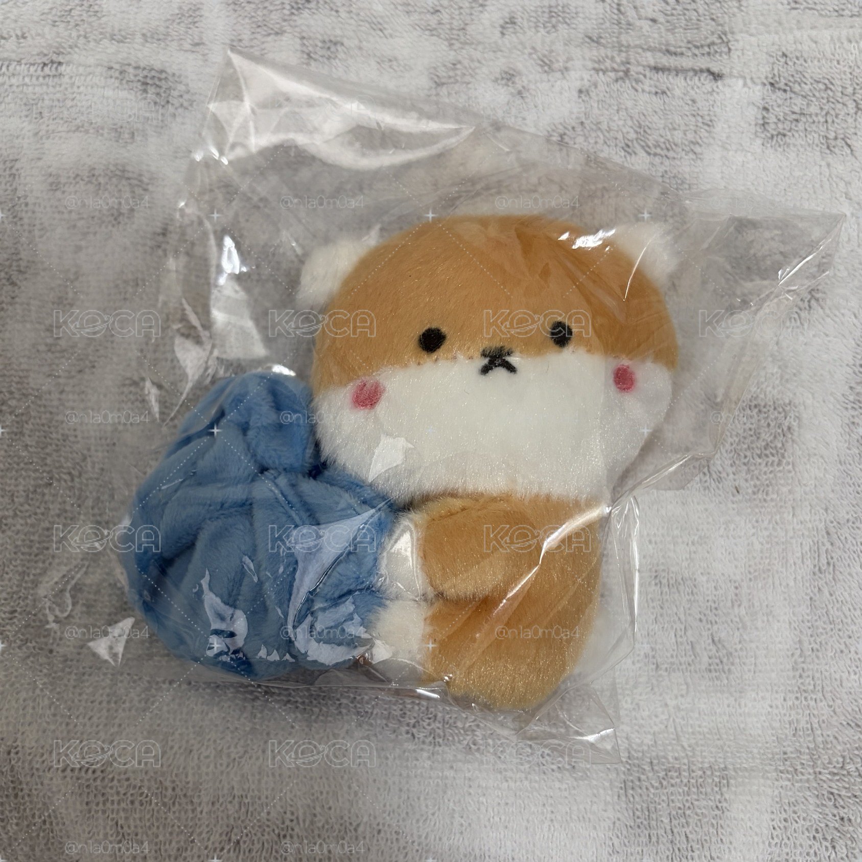 MONSTA X 🐹大腸圈