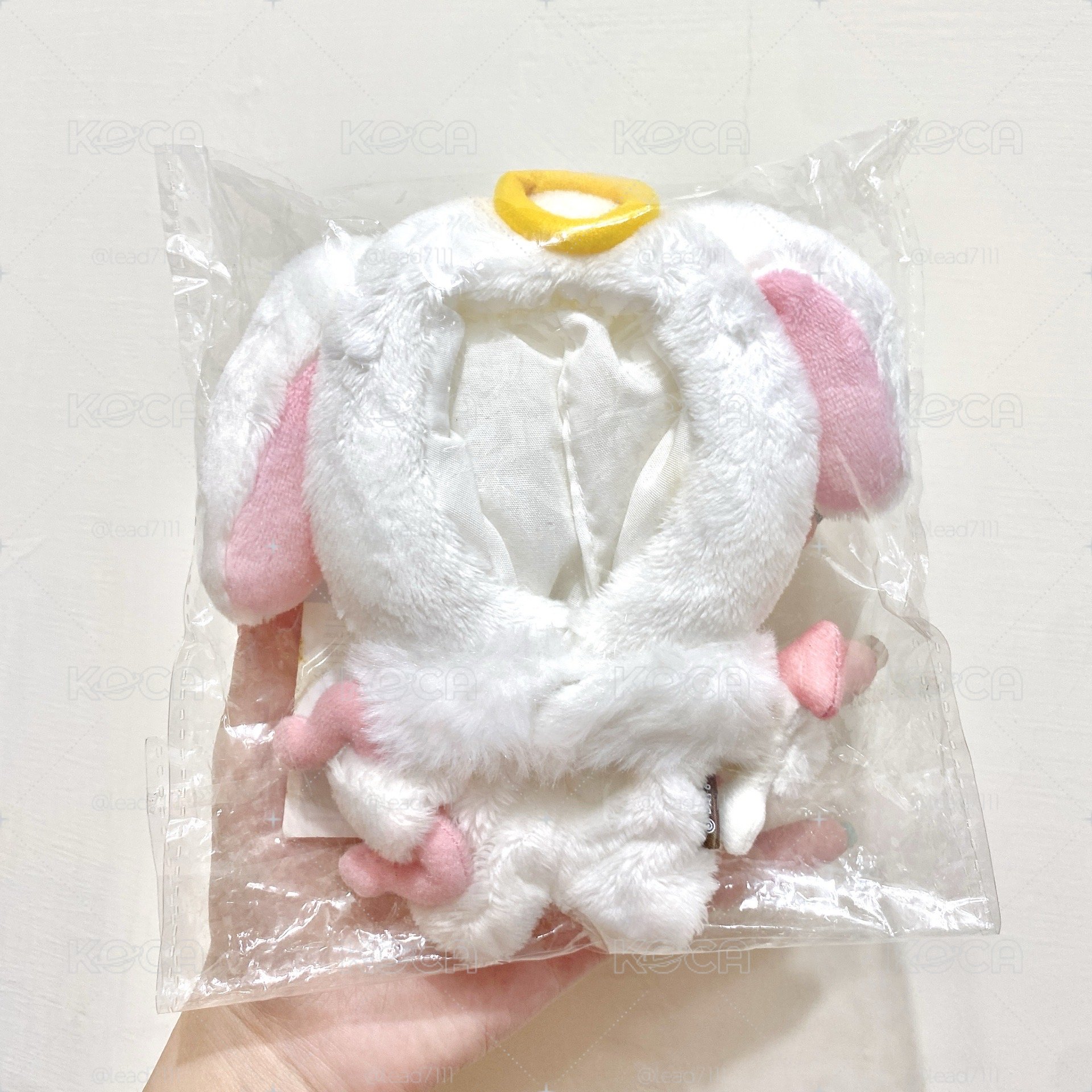 DAY6 天使娃衣 mini6