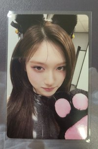 貓貓瑞