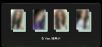 B版(備註成員)