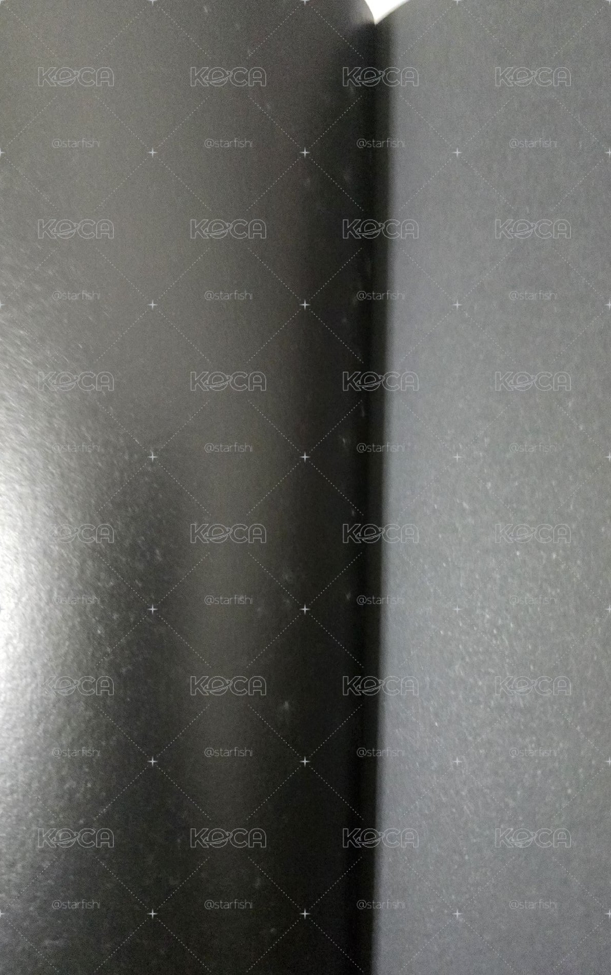TTT寫真