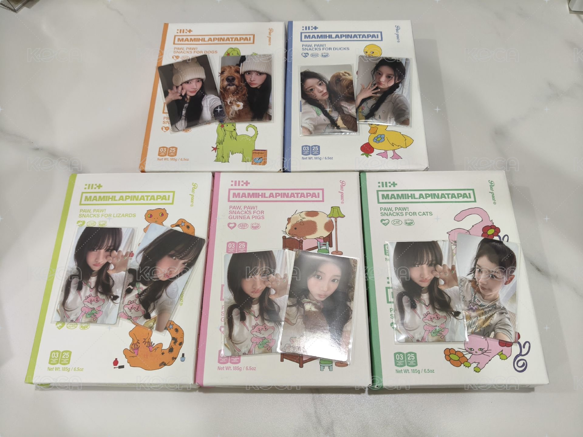 五版一起