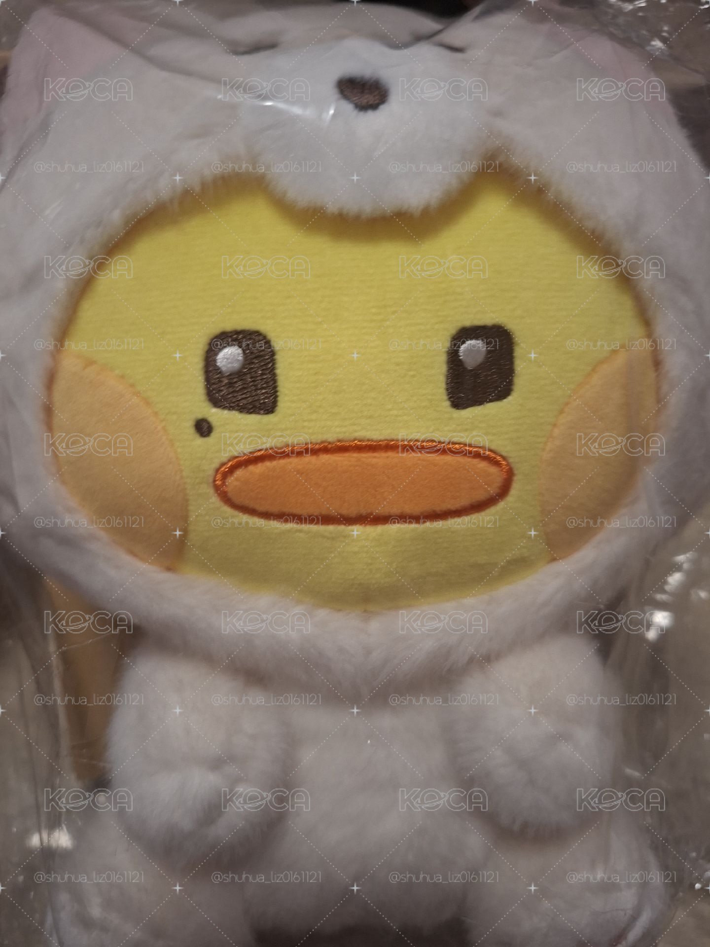 動物來
