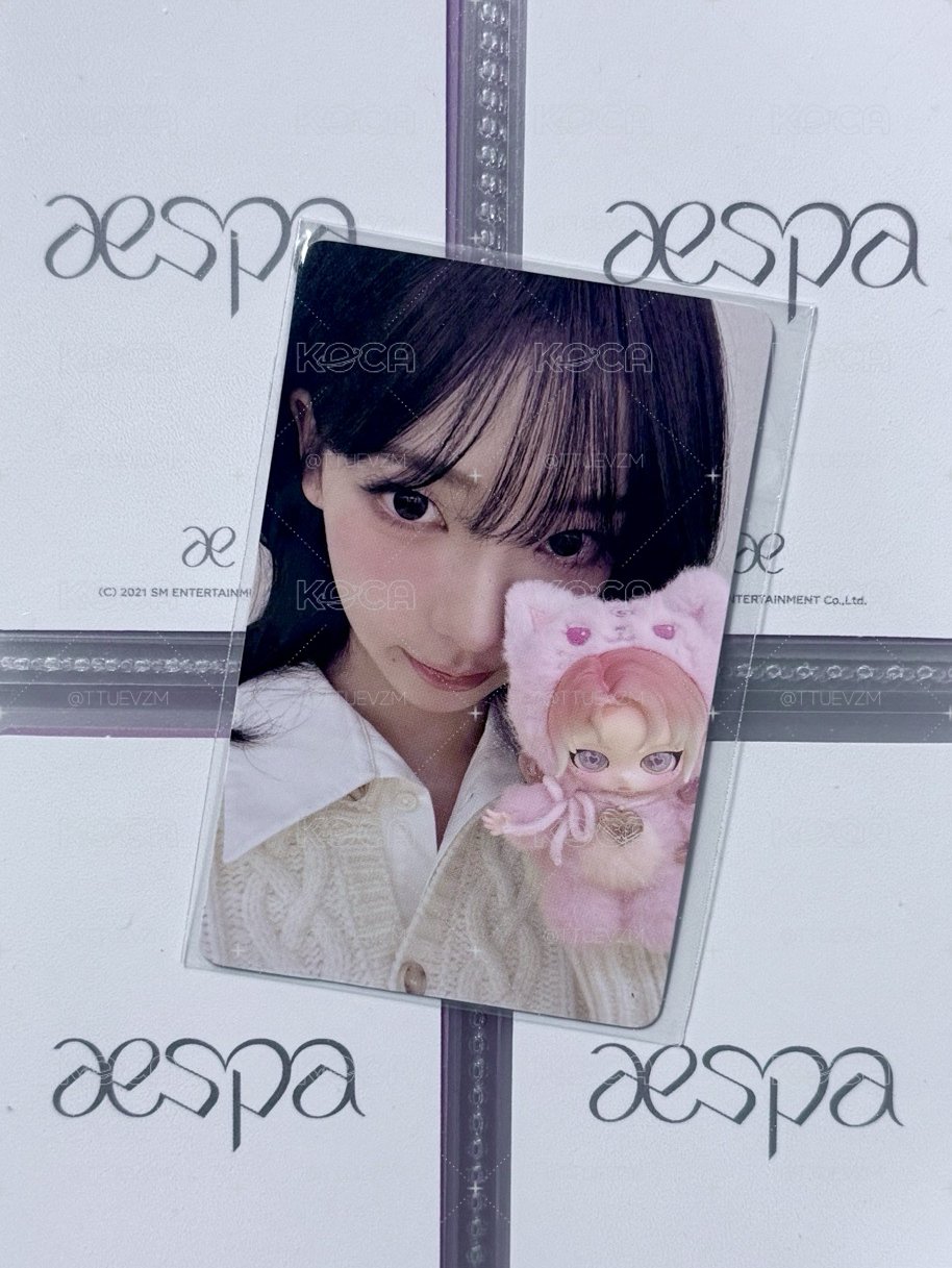 KARINA 泡泡瑪特隱藏卡