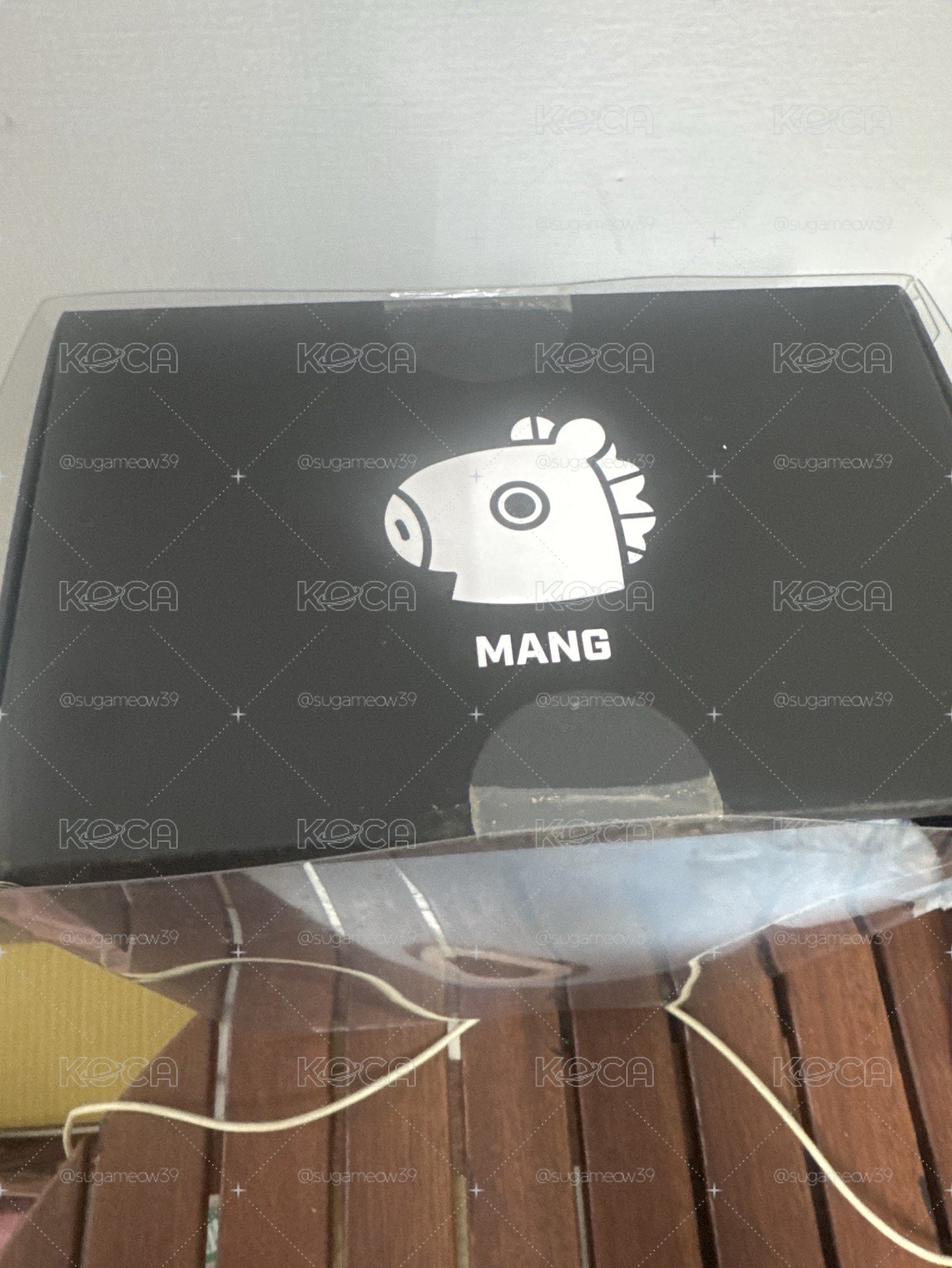 BT21 Mang 初代站娃