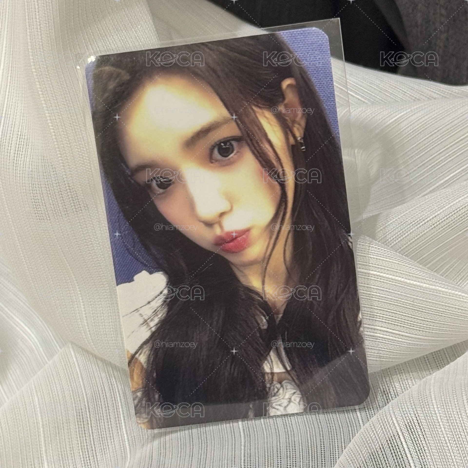 現貨☆Focus ia幸運卡_yuha