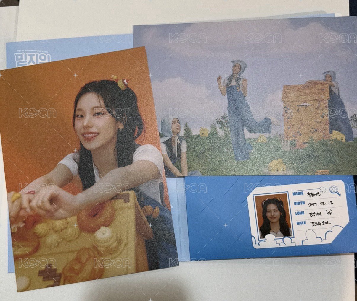 志