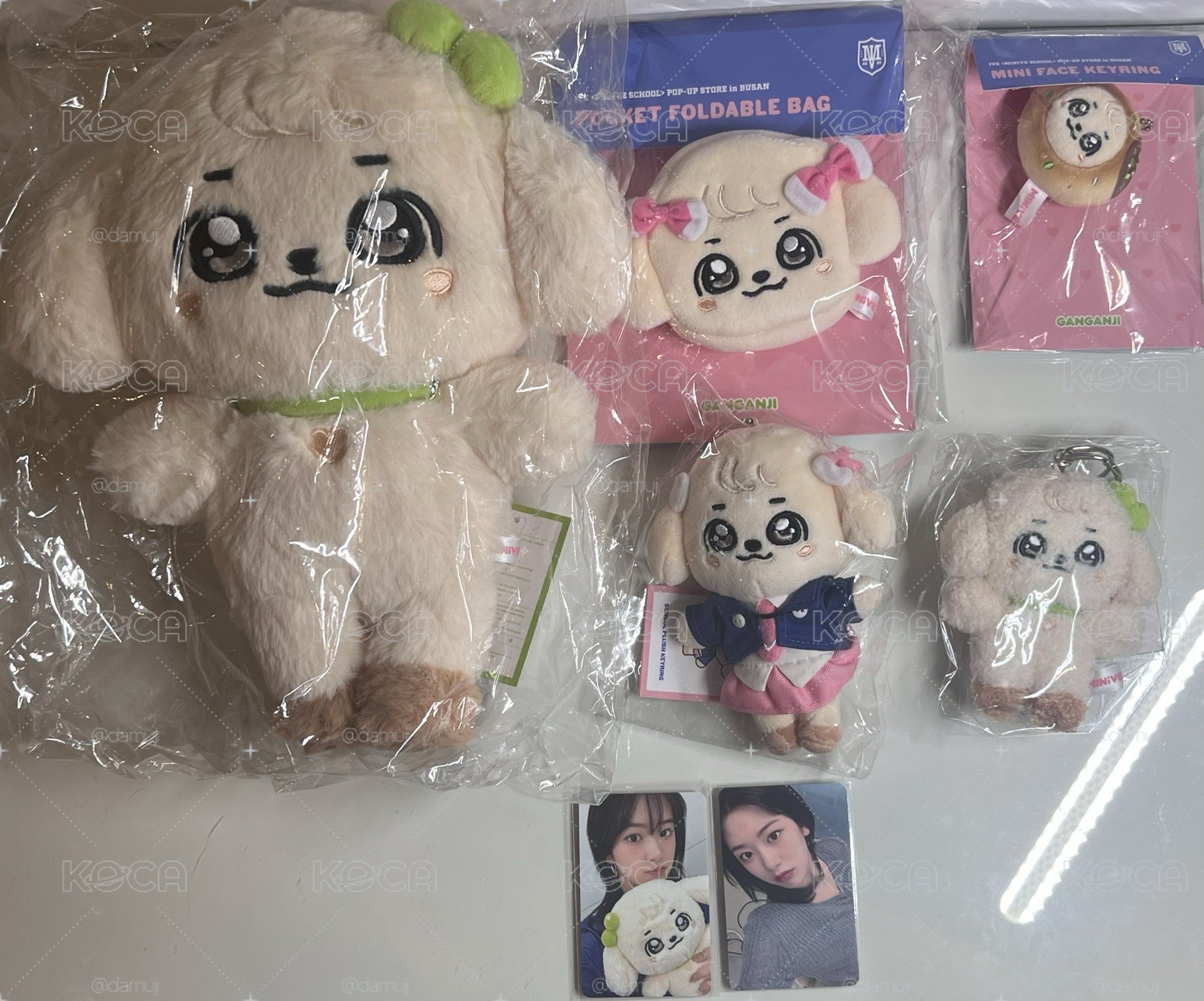 MINIVE SCHOOL 安set