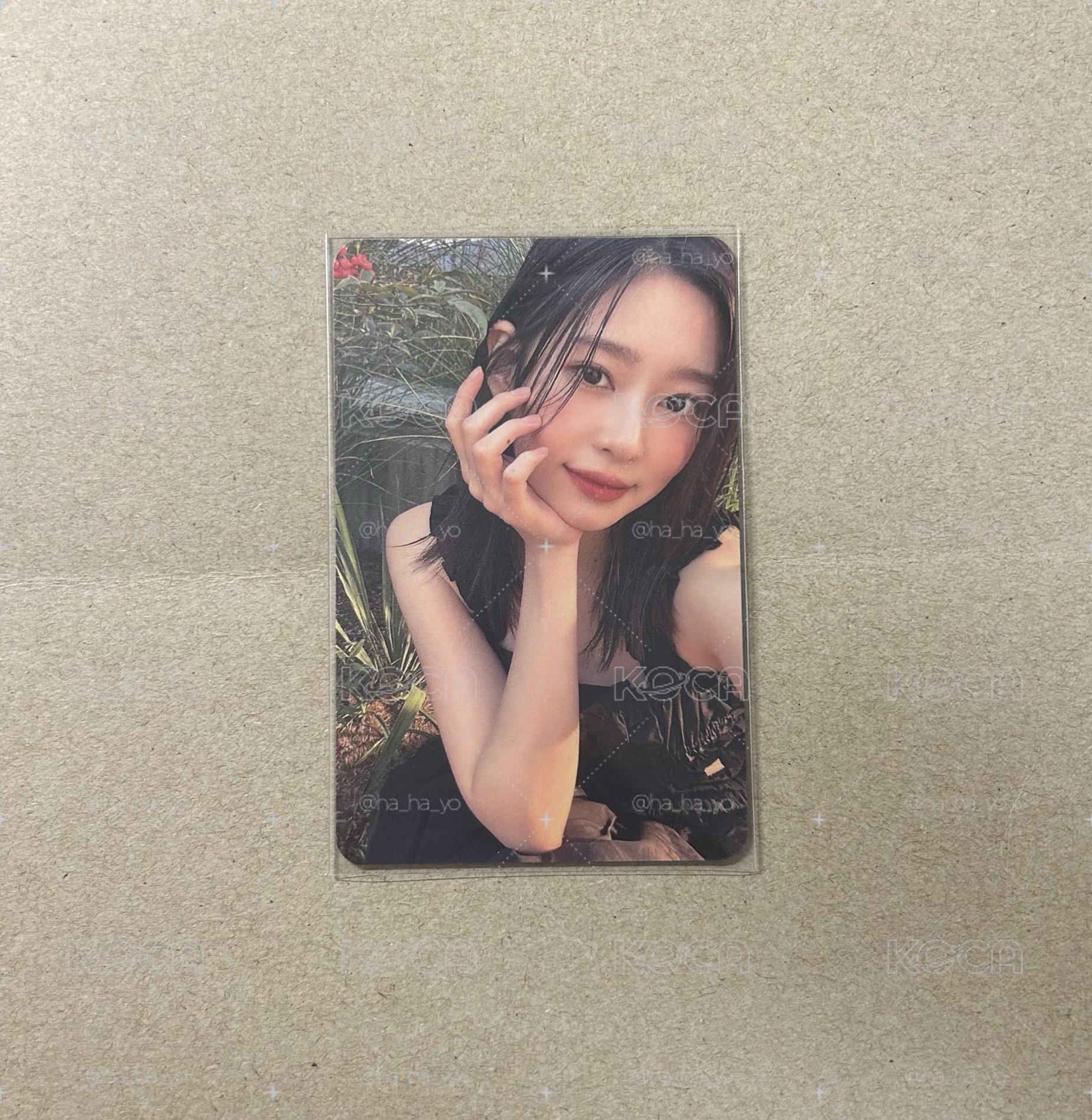 珉周｜24‘ 年曆卡 💐