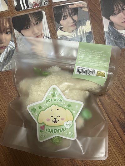 叮特里二販 wish doll