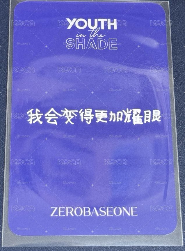 金泰來 小盤 含中背