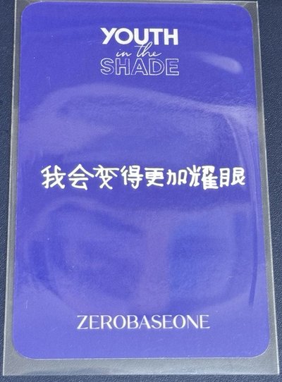 金泰來 小盤 含中背