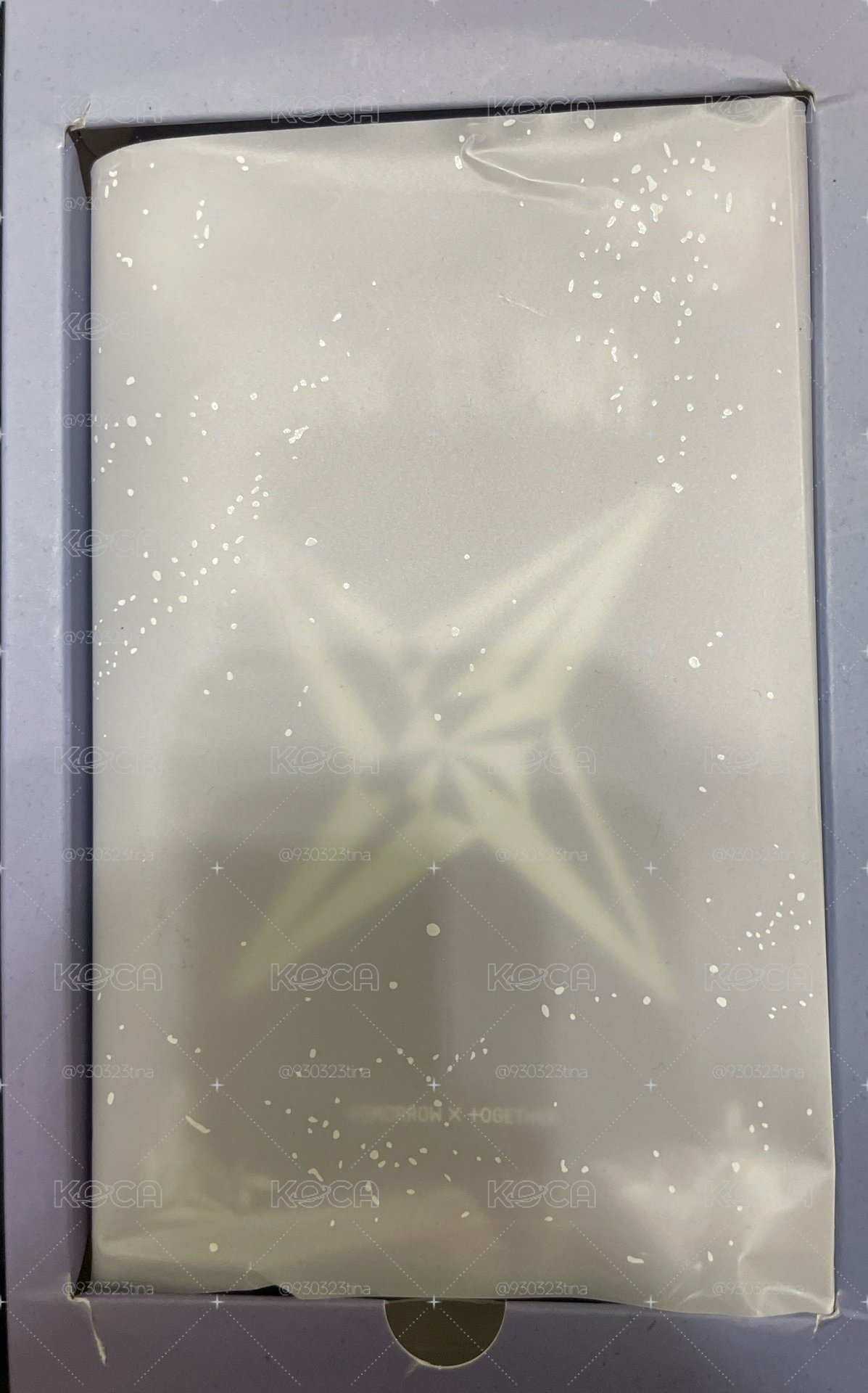 The Star Chapter: SANCTUARY