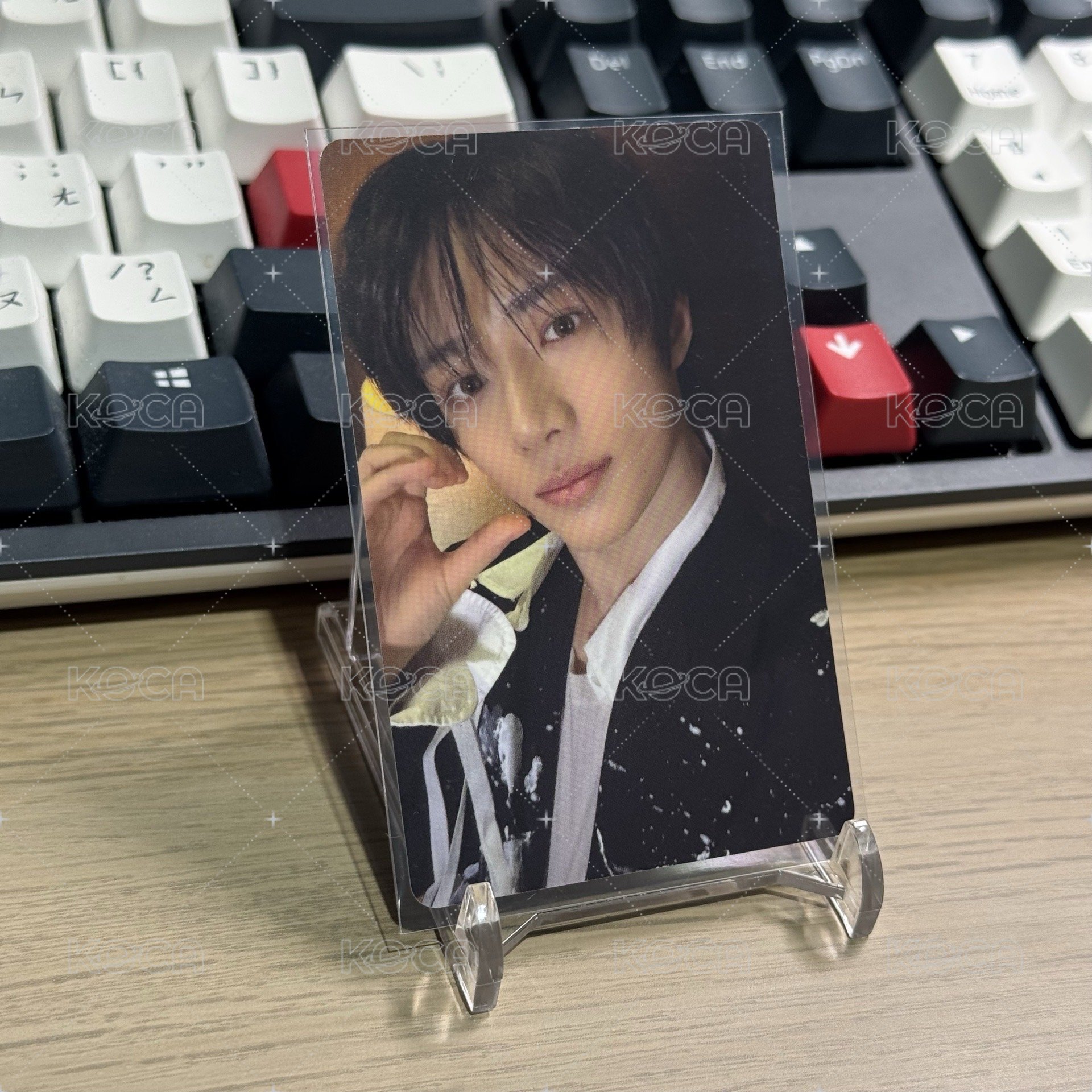 抱枕圭
