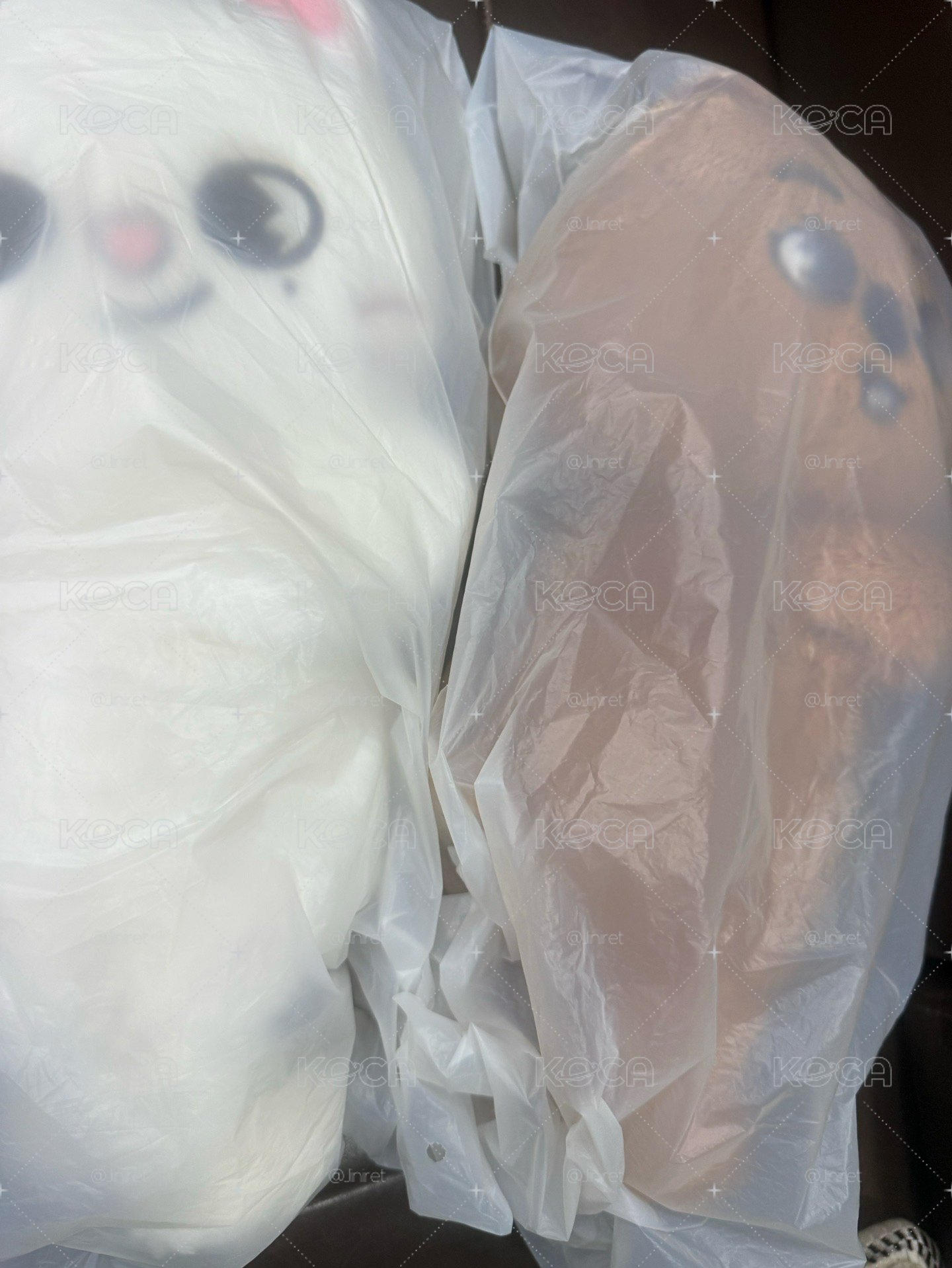 辰城側背