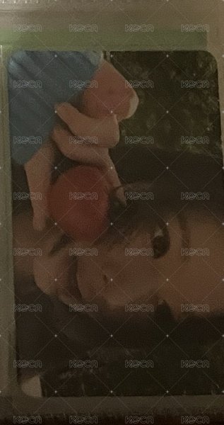 特典紗