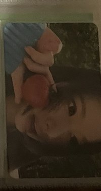 特典紗