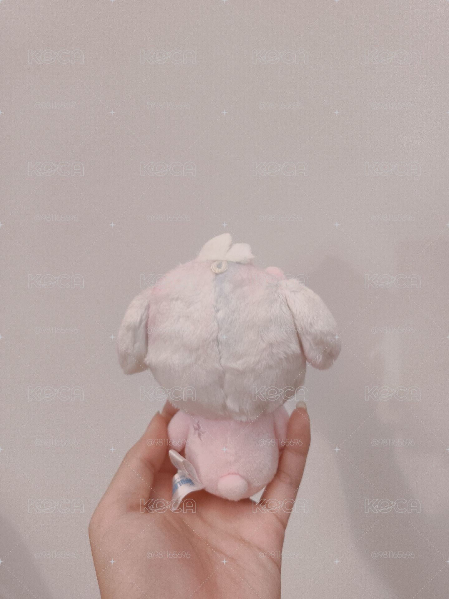 淡顏彩嘻