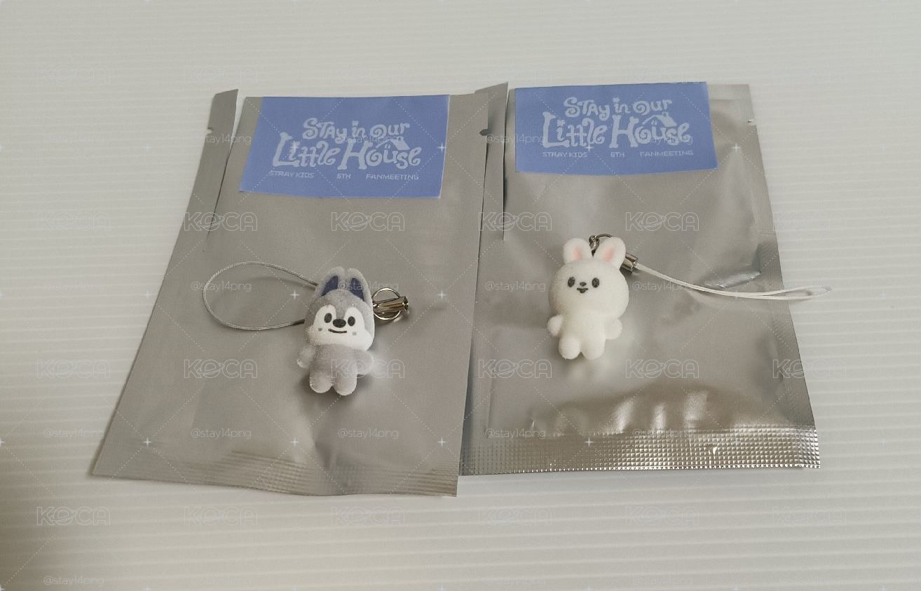 SKZ6期飯咪 現貨 絨植吊飾 燦旻