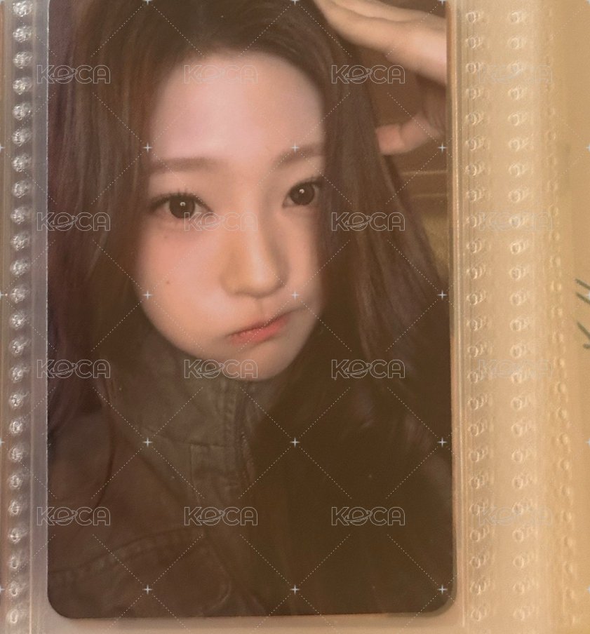 狗耳