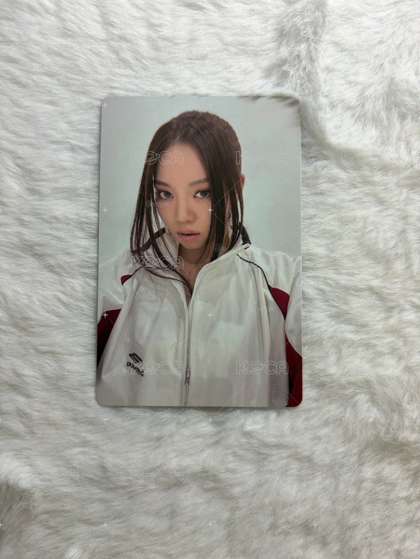 TBL貝