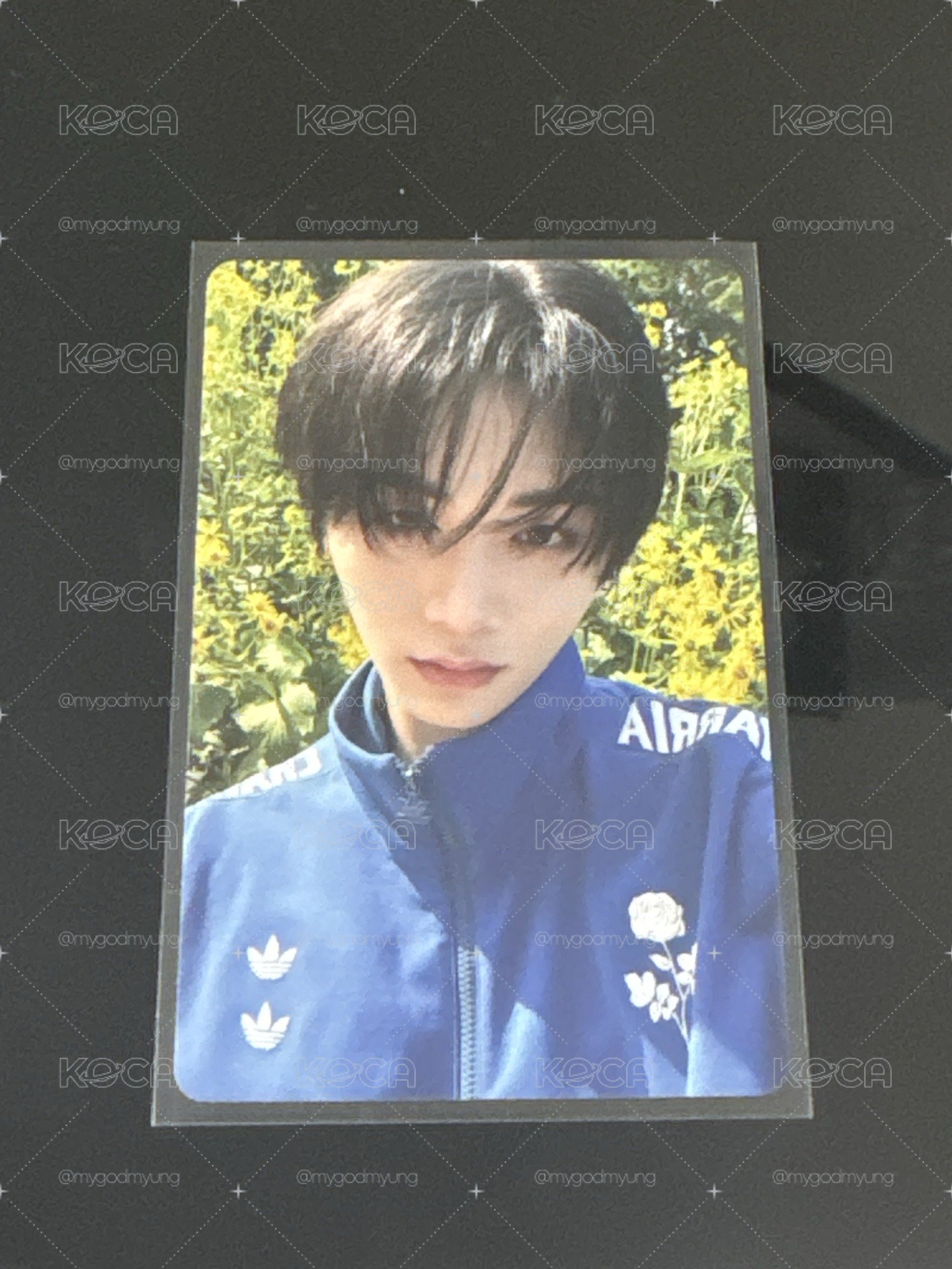 山山小卡