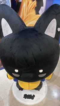 走過路過不榮錯過