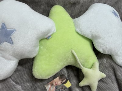 wichu抱枕 陸卡