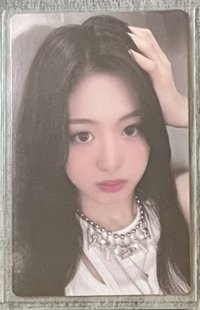 一週年wvs賢