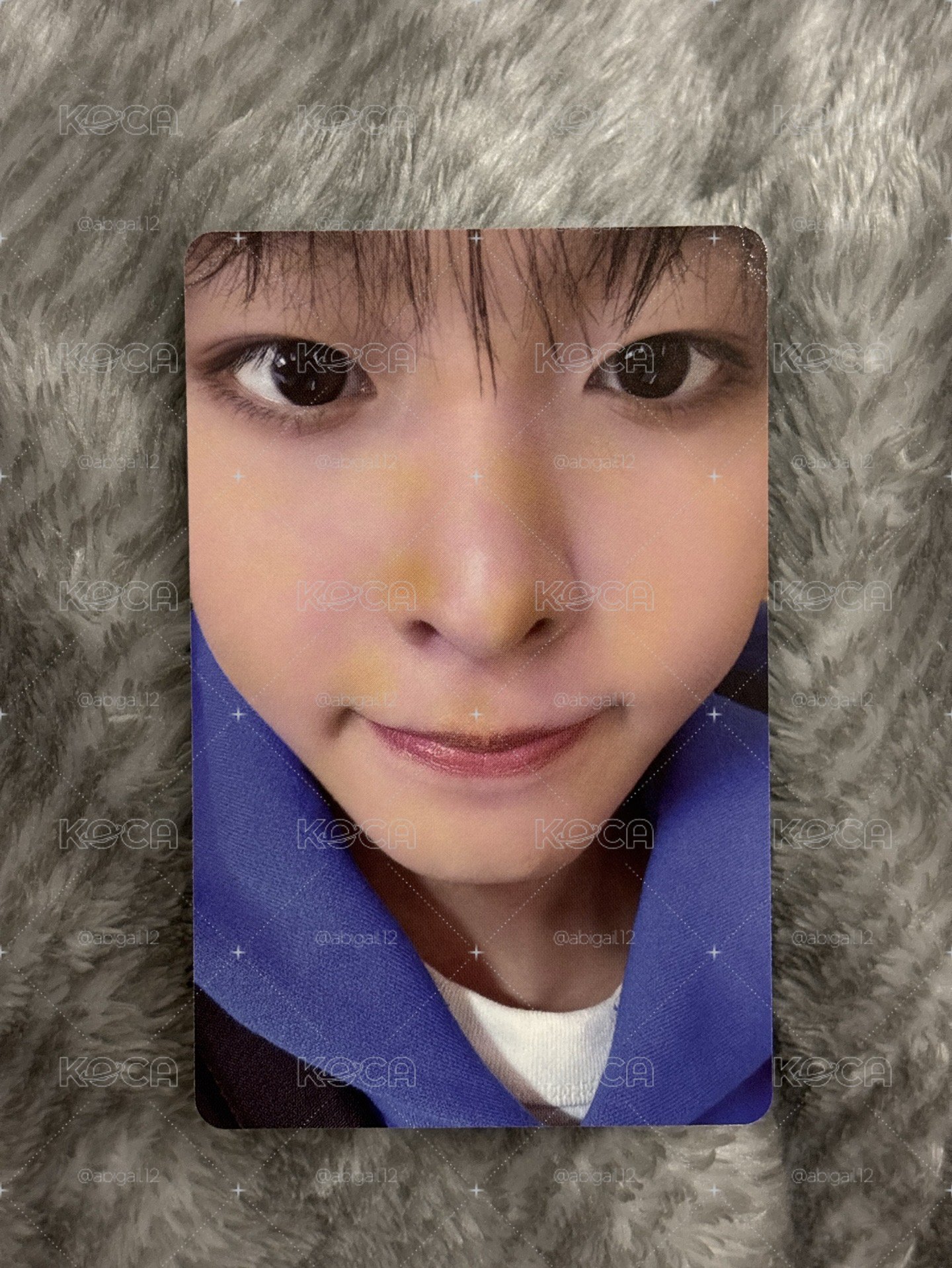 幼年鼠體