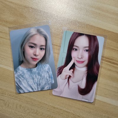 2026年曆 fans 特典卡+not shy中背