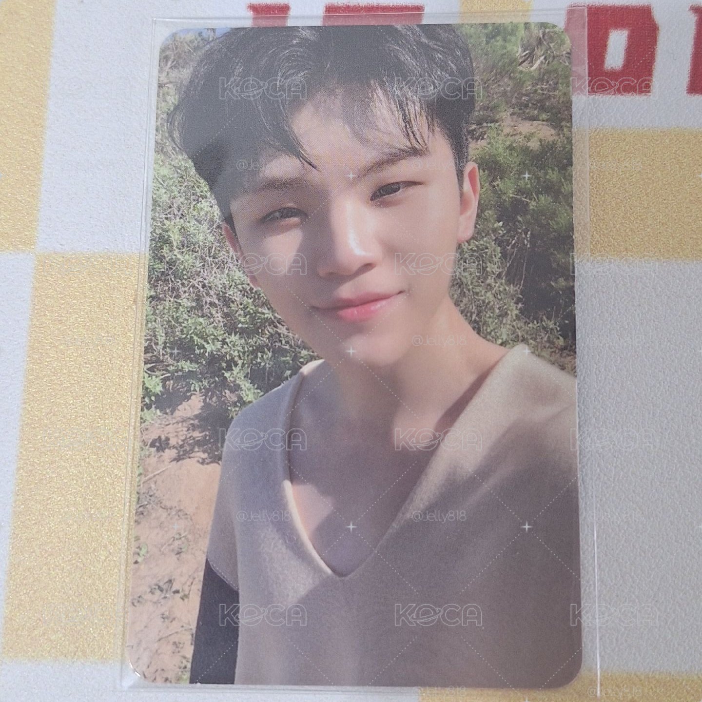 SEVENTEEN WOOZI 李知勳 迷七專輯卡