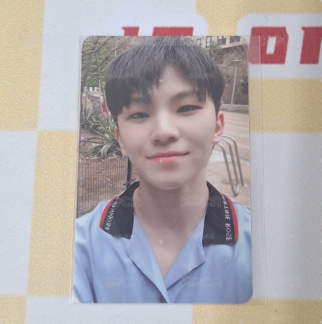 SEVENTEEN WOOZI 李知勳 迷七專輯卡