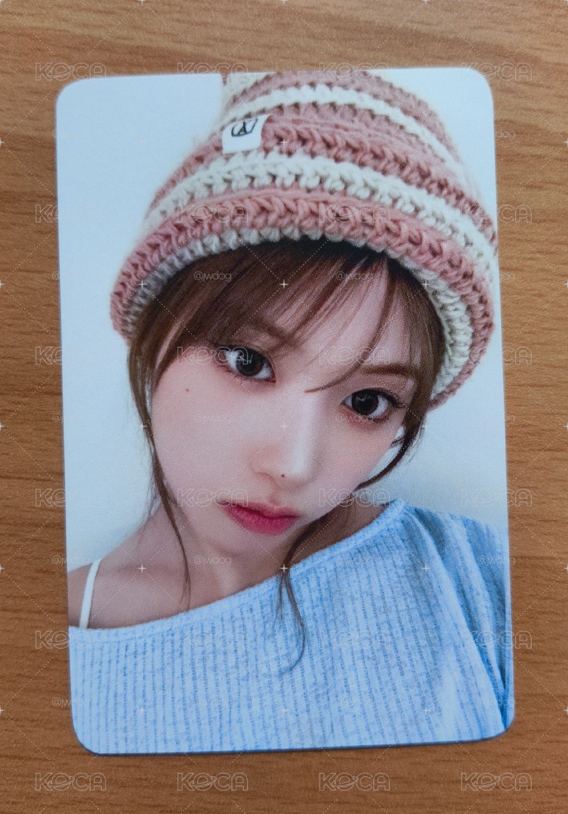 ⚡ 小貓帽友