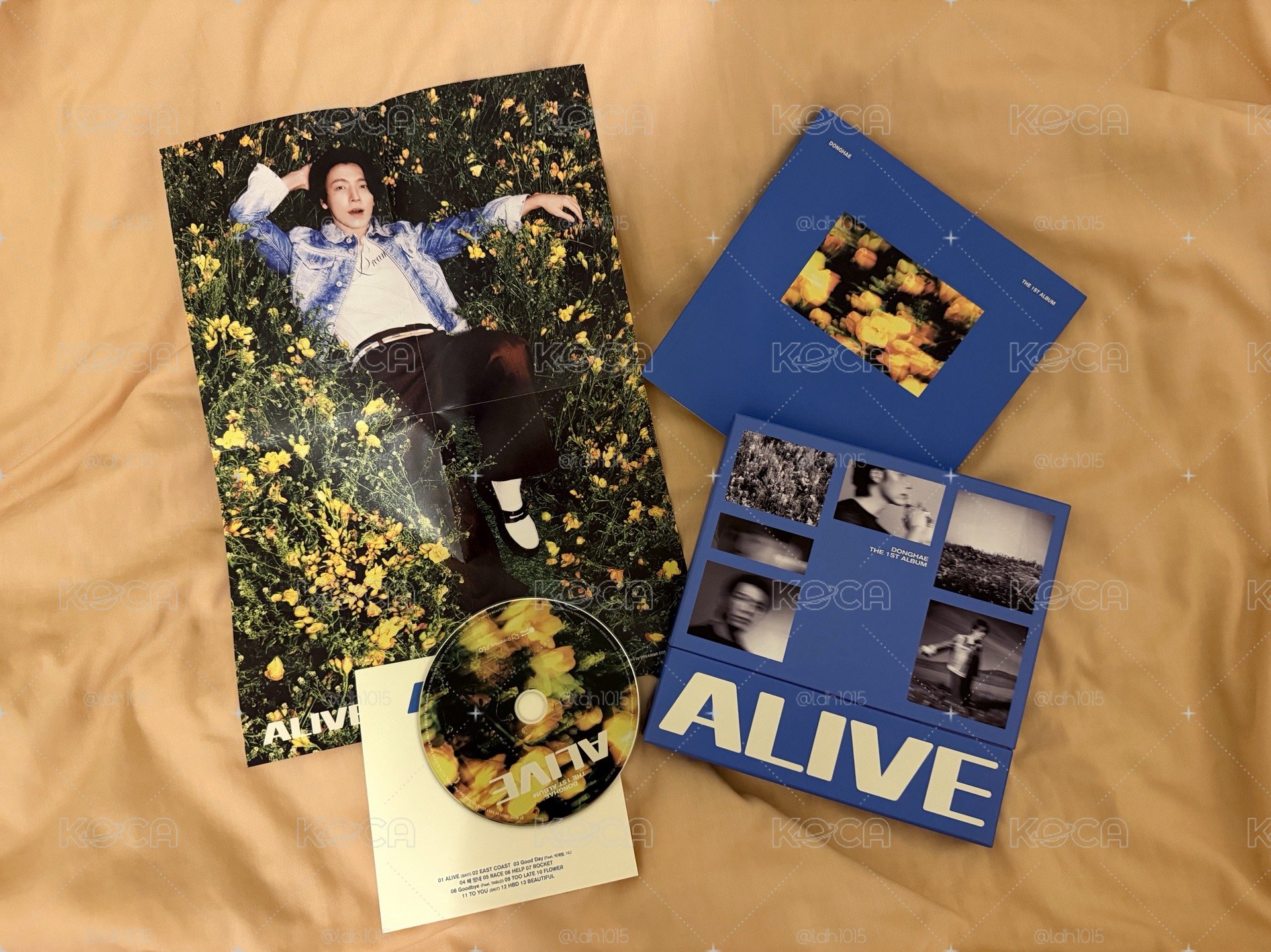 東海 ALIVE 專輯 CD 海報 寫真 無卡