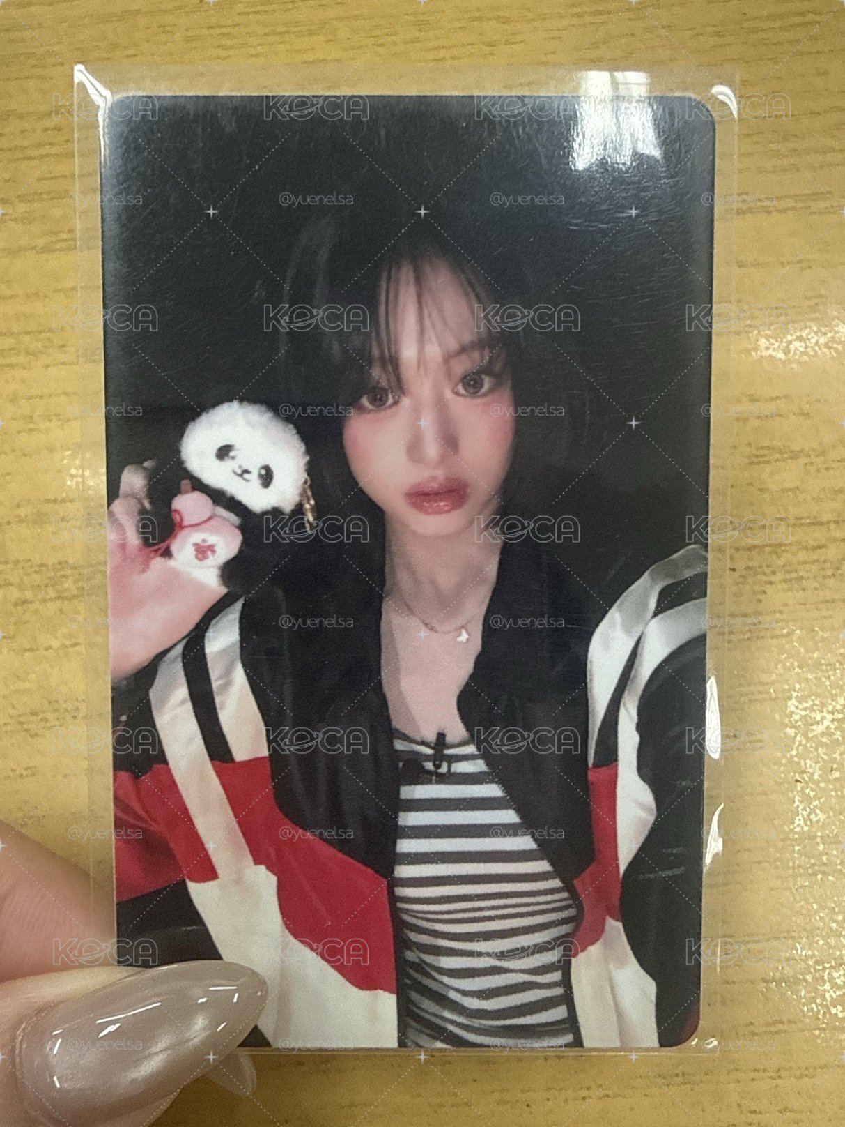 熊貓賢 起標價 1元 