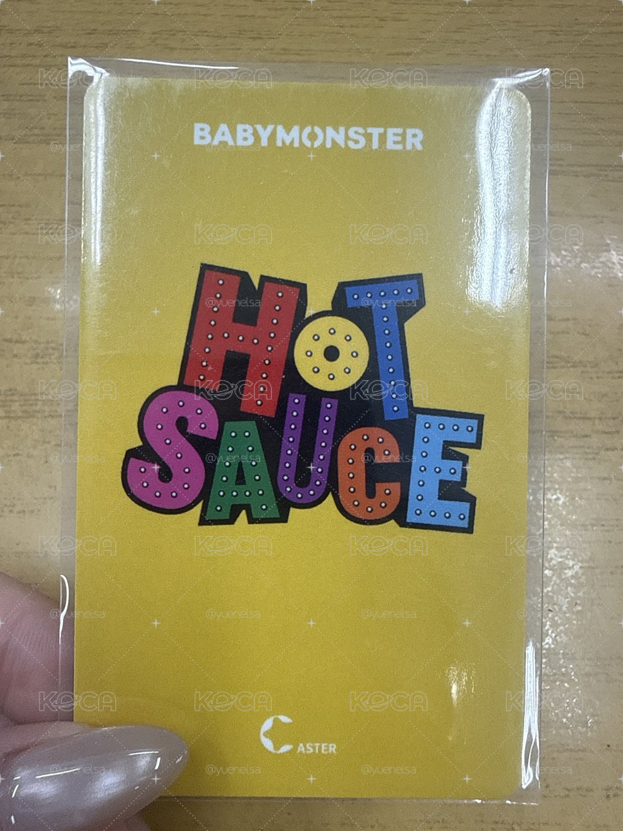 熊貓賢 起標價 1元 