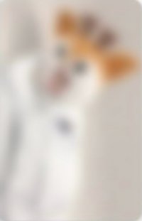 Mmchk sw 2.0 簽售卡 