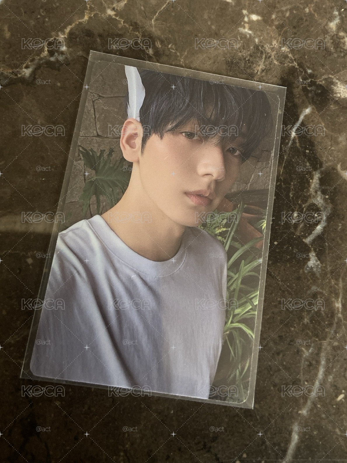 迷七 專輯卡 單封 Angel版 🐰