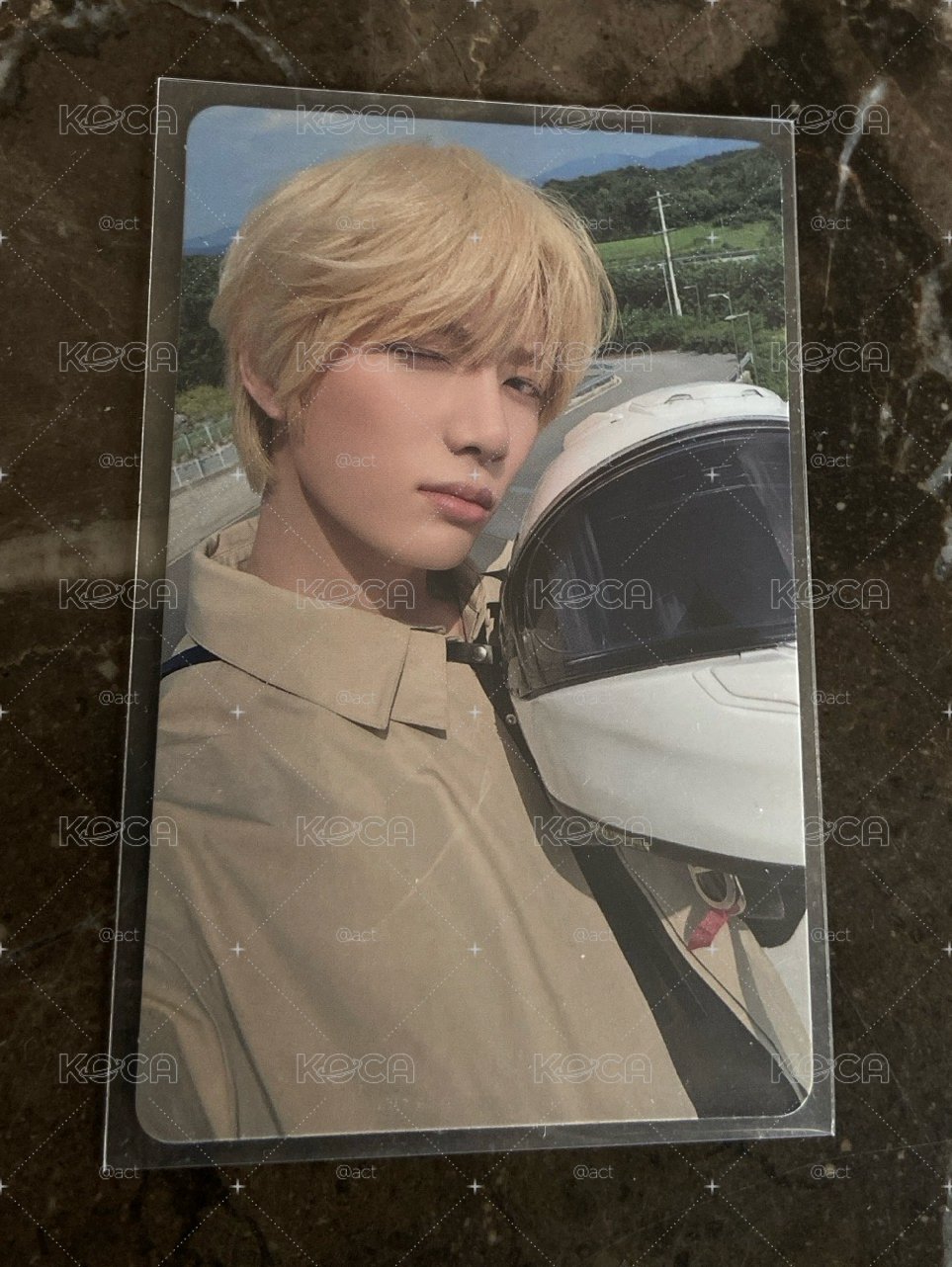 迷七 專輯卡 Knight版 🐻