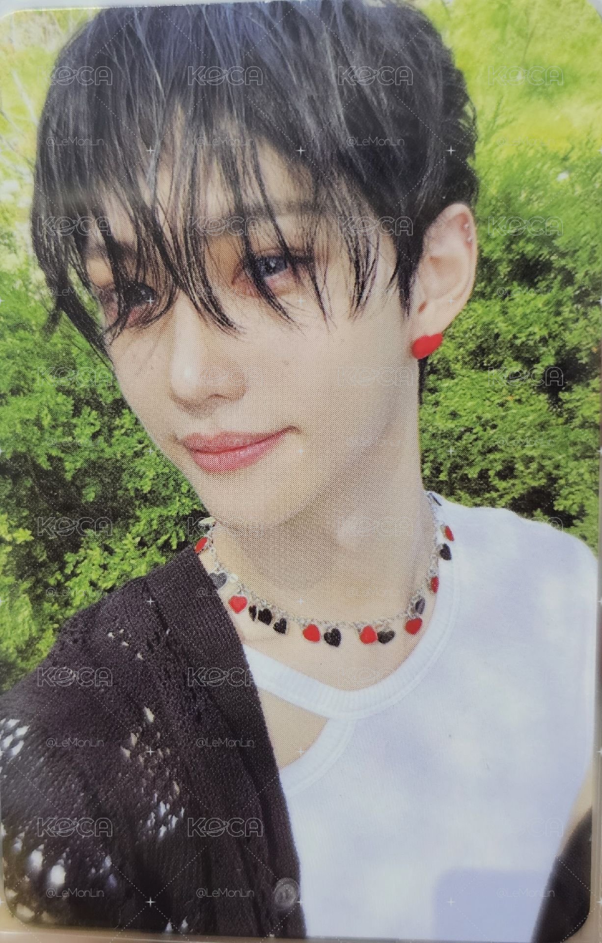 Felix Maxident專卡