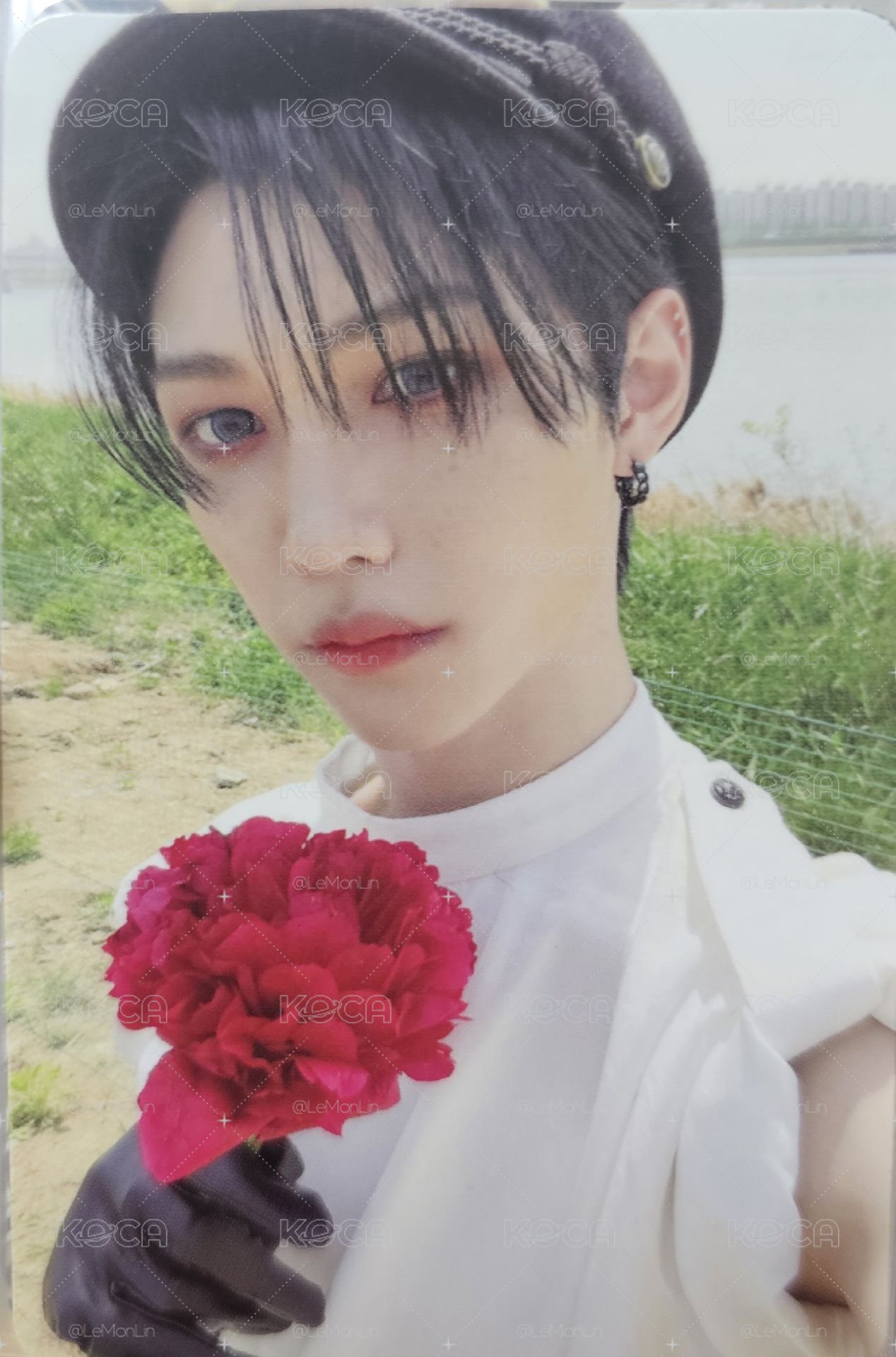 Felix Maxident專卡