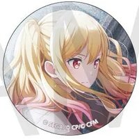 細閃 vol.33 A 徽章 相生花前