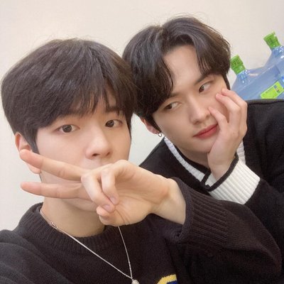 🐶&🐰🐱