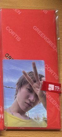 電子專紅版馬