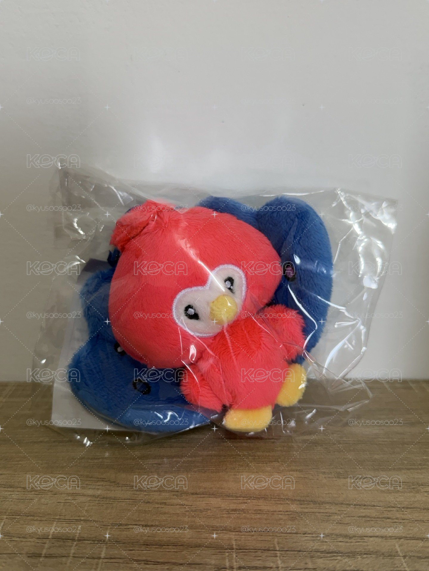 日周 澈孔雀