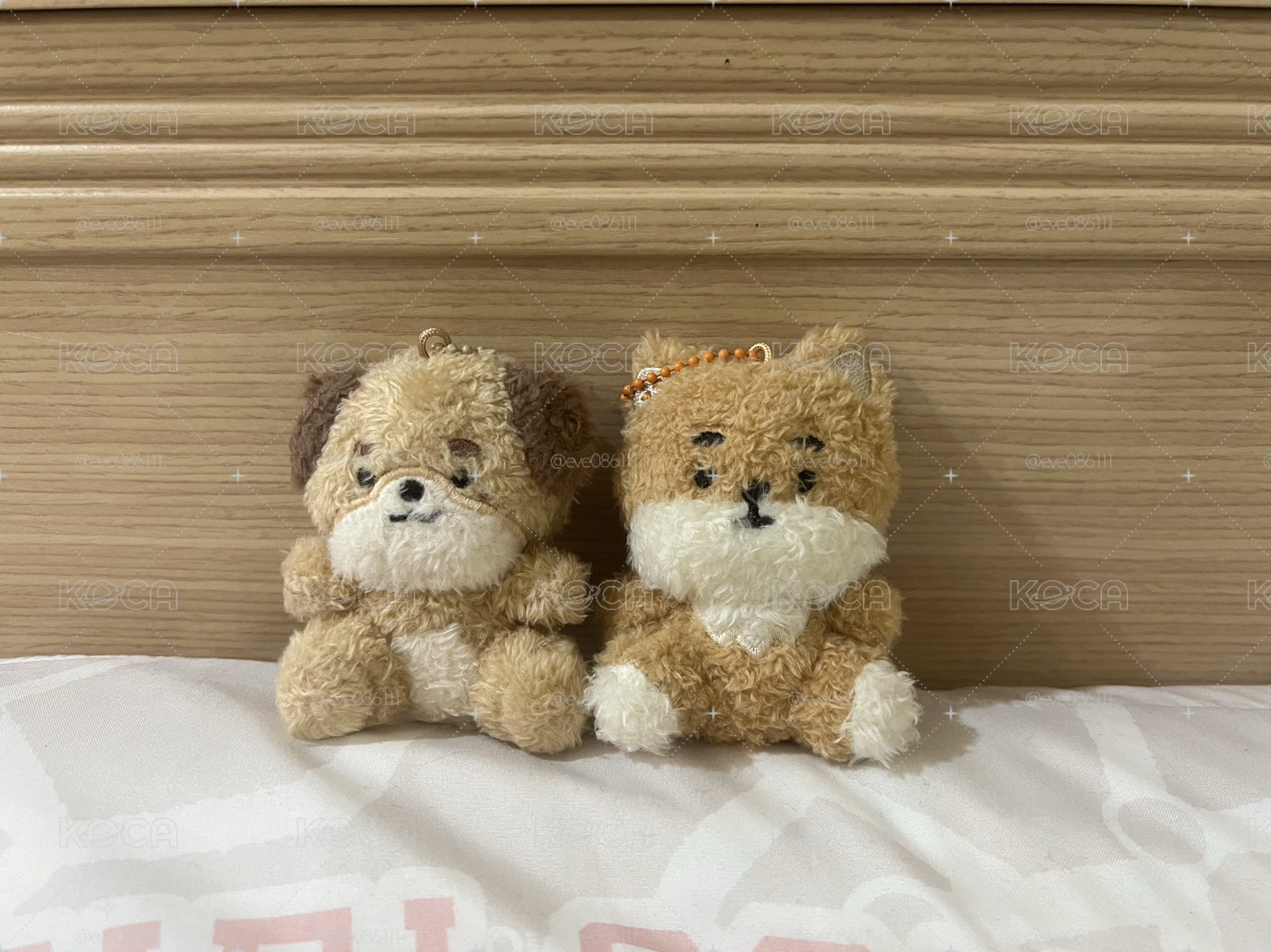 坐娃 KE DON