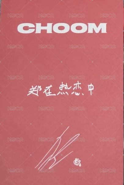 춤 (CHOOM) 京東 中文卡背1.0 特典卡  背面
