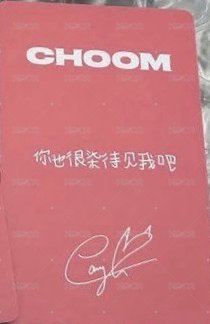 춤 (CHOOM) 京東 中文卡背1.0 特典卡  背面