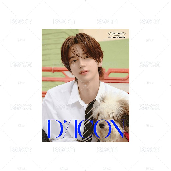 DICON Boyhood